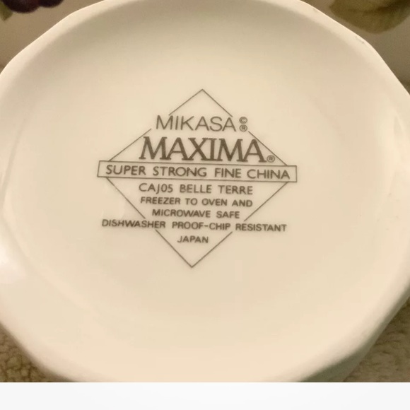 Mikasa Maxima Super Strong Fine China CAJ05 Belle Terre Set Of 8 Cups & Saucers - Picture 4 of 5